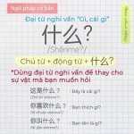 ngu-phap-tieng-trung-co-ban-can-biet-4.jpg
